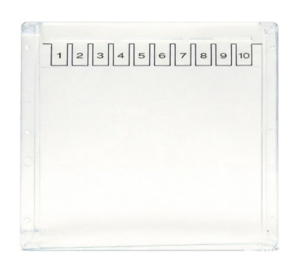 蛋白电泳预制胶 Tris-Gly  8%, 10wells, 1.0mm