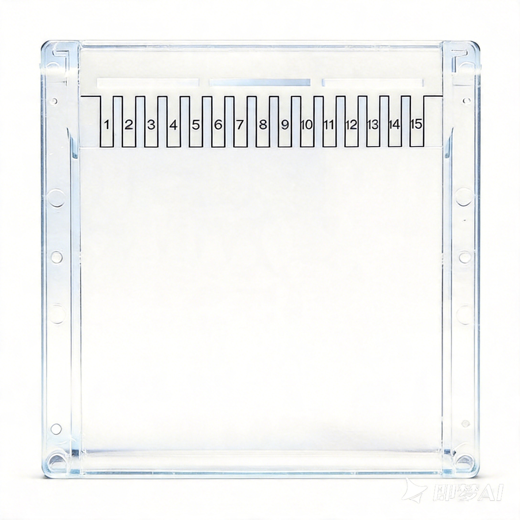 蛋白电泳预制胶 Tris-Gly  10%, 15wells, 1.0mm